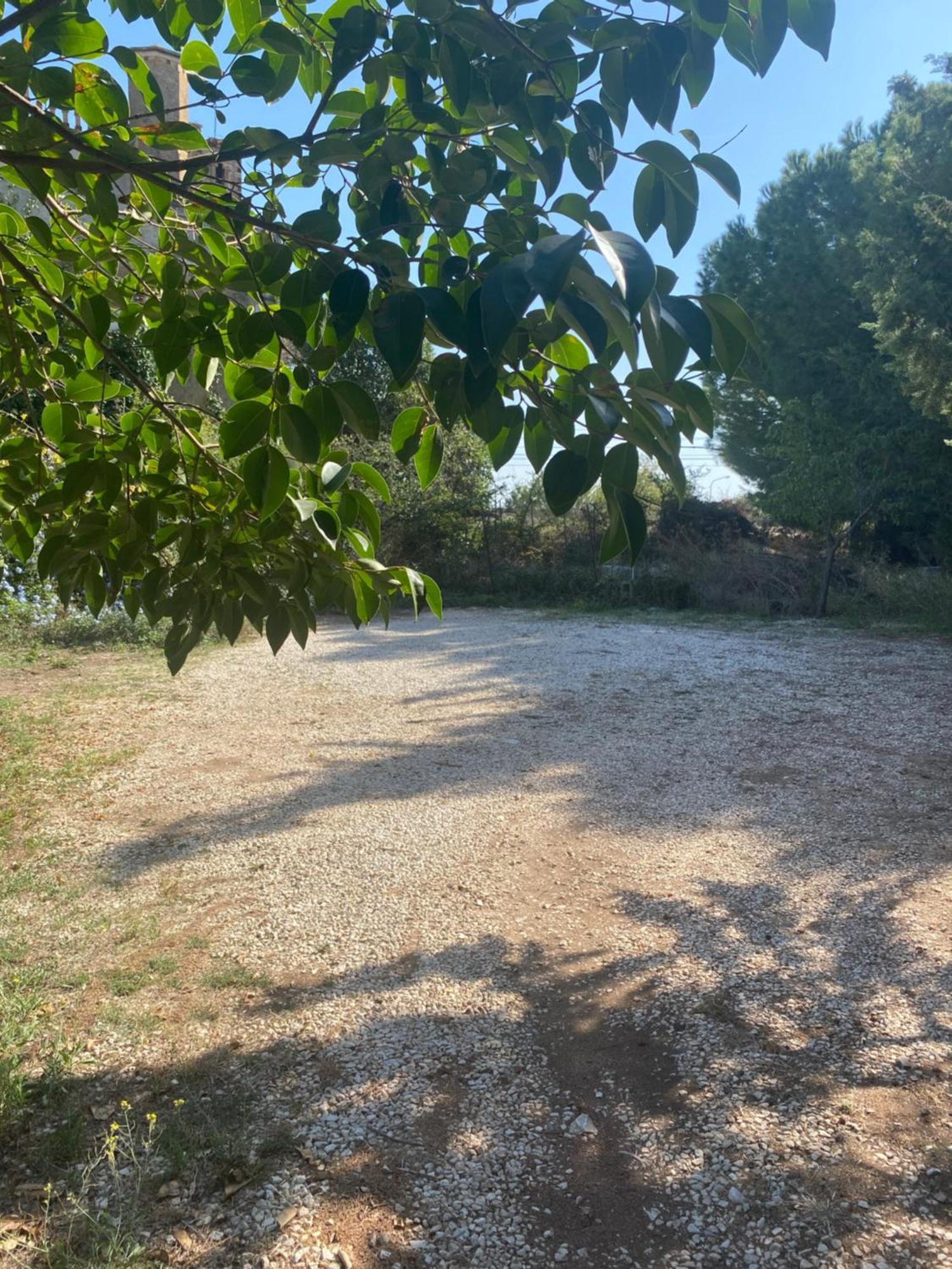 Albarosa Bed and Breakfast Ruvo di Puglia Εξωτερικό φωτογραφία