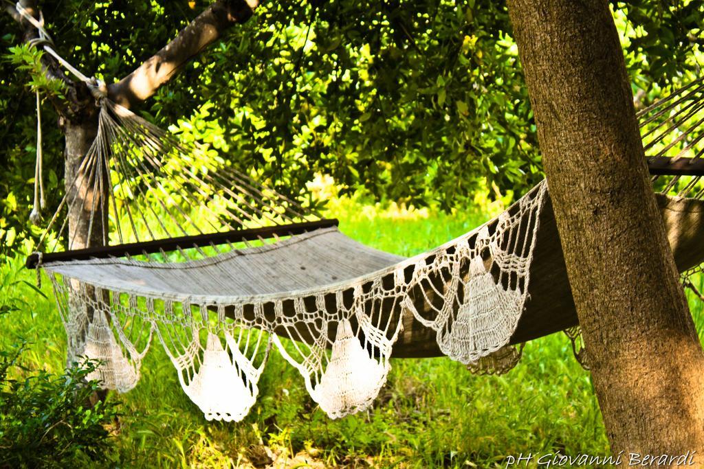 Albarosa Bed and Breakfast Ruvo di Puglia Εξωτερικό φωτογραφία