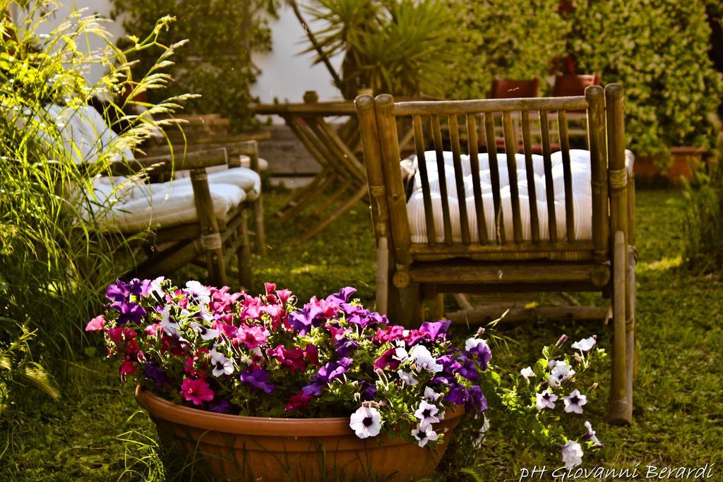 Albarosa Bed and Breakfast Ruvo di Puglia Εξωτερικό φωτογραφία